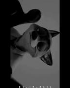 بفرس برا مخاطب مورد نظرت..🙂🎀🧡