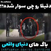 باگ های دنیای واقعی‌‌‌‌‌‌‌‌‌‌‌