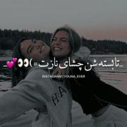 ..............................