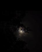 The night sky is wonderful✨🎀..