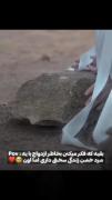 دوستااان دوباره جنتلمن اوردم😂😌🤌🏻