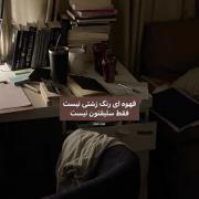  قهوه ایی، رنگ مورد علاقمه 🤎🧸