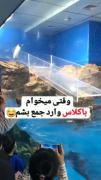 همیشه تو زندگیم پنگوئن بودم: 😂