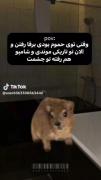 .... وقتی توی..............😂: 