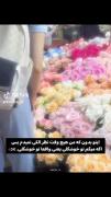 اگه میگم تو خوشگلی یعنی واقعا: 