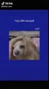 تفریح مورد علاقه ام: 😂✨...... 