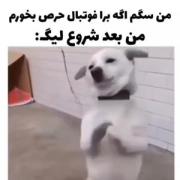 این منم از امروز تا آخر فصل🤣🤣
