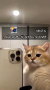 مخاطب ها خودشون باید بفهمن من نمیگم