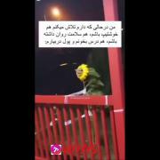 ای با‌‌با قرارمون ‌این نبود 😂