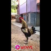 ‌‌حر‌‌فی‌‌ ند‌‌ا‌‌ر‌‌م‌‌ ‌‌😂 ‌