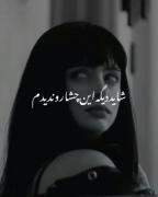 شاید دیگه این چشارو ندیدم..... 