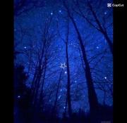 ادیت آرامش‌بخش با تم ستاره و رنگ آبی