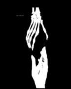 ادیت غمگین با یک ریمیکس تند و شنیدنی