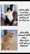 من جلو بابام Vs جلو مامانم....... 