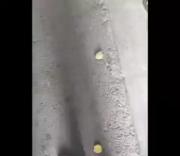 خدایا یه نشونه بدع که من پولدار میشم یا نه🥺😂😂😂😂