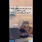 من در حال فک کردن ب اینکه چرا دارم وقتمو هدر میدم؟ 😂😂