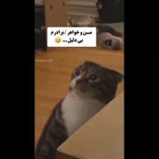 رابطه منو برادرم بدون هیچ گونه دلیلی:) 