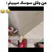 من وقتی سوسک ببینمممممممم😱😱😂
