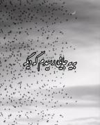 به ی جایی رسیدم که دیگه خیلی چیزا واسم مهم نیست🖤