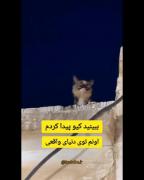 خودشههههه😂😂................. 