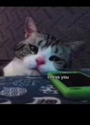 Miss you🖤‌‌‌‌‌‌‌‌‌‌‌‌‌‌‌‌‌‌‌‌‌‌‌ 