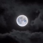 از اینم خوشگل تری🫂✨. ‌