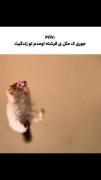🎀 ‌‌ .