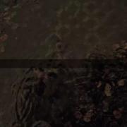 مرد خاکستری...................