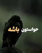 ارزشش دونستن خیلی هنر .......خودت منظورم رو فهمیدی