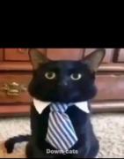 درسته جناب سروان حق با شماست -_-