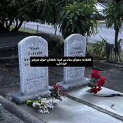 فردا از دلش درمیارم فرداش:🥲❤️‍🩹