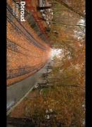 ......................"My city"