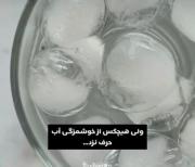 ولی هیچ کس از خوشمزگی آب نگفت💧