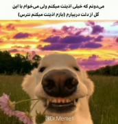 بازم اذیتت میکنم نترس (دارم برات)❤️🤭😂