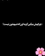 چرا بهش میگی گربه اون که شبیهشون نیست!