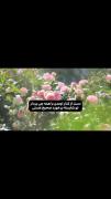 استوری انگیزشی زیبا مفهومی دخترانه 