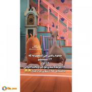 حموم 👋🛀😝..........................