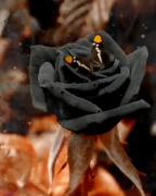 غمیگن هستم چون دنیا بهم نساخت❤️❤️💔💔💔💔💔💔💔