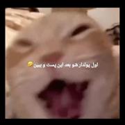 عایا ت پولداری ینی؟!……………😂🗿🤏🏻