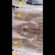 دور چــــــشــــات بـــگردم ❤️‍🩹❤