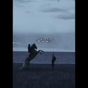 ❤🌹❤️‍🩹💕..................... 