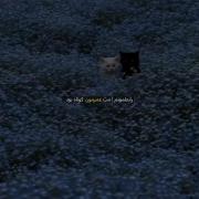 موزیک ویدیو غمگین: داستان جدایی و دلتنگی با گربه‌های زیبا