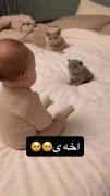 بازیگوشی‌های شیرین نوزاد با بچه گربه