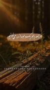 غروب جمعه که می‌رسد، دل بی‌اختیار به سمت تو پر می‌کشد.🪴🤍