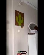 حالا این همه مارو فرستادید مدرسه چی شد🤣