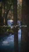 وقتی که انسان طبیعی به یاد صاحبش نمی افتد...