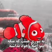  این تئوری راجب انیمیشن در جستجوی نمو شنیده اید ؟! 