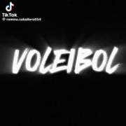 والیبال یعنی خودت زمین بخوری ولی نزاری توپت زمین بخوره ⚡🏐