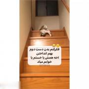 احساس می کنم واقعا بدنم دست دوم هست ...