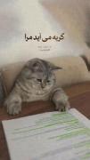 گریه می آید مرا 😭 😭 😭.....